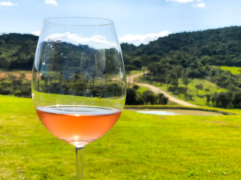 Fazenda Quinta Alta Vista